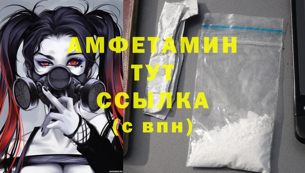 мдпв Белокуриха