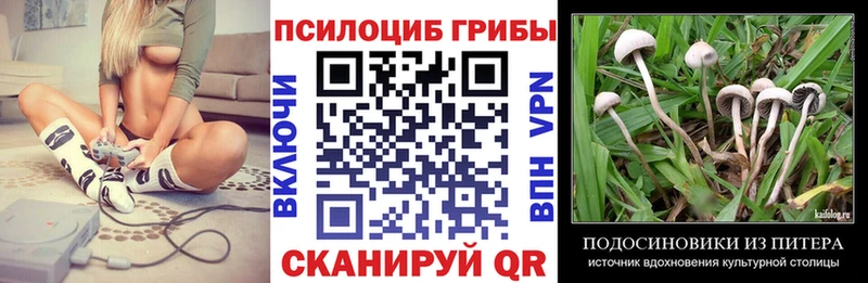 Галлюциногенные грибы MAGIC MUSHROOMS  omg как зайти  Светлогорск 